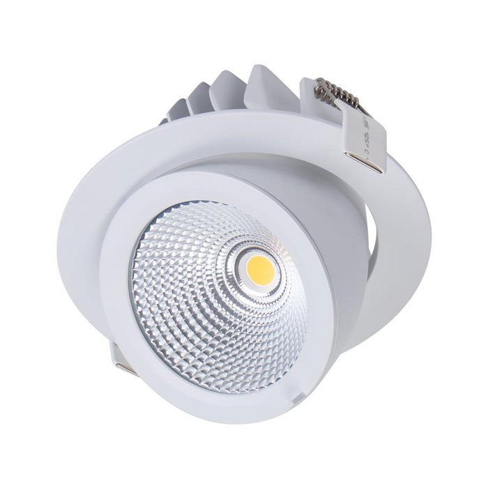 SCOOP-25: Round 25W LED CCT Dimmable Recessed Downlights with 45° Tilt Function  (avail in Black and White)