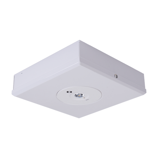 Domus EVAC 3.5W Square Surface Mounted LED Non-Maintained D63 Class Emergency Light (avail in Black & White)