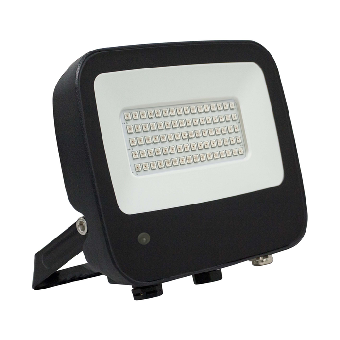 54W LED RGB FLOODLIGHT WITH REMOTE