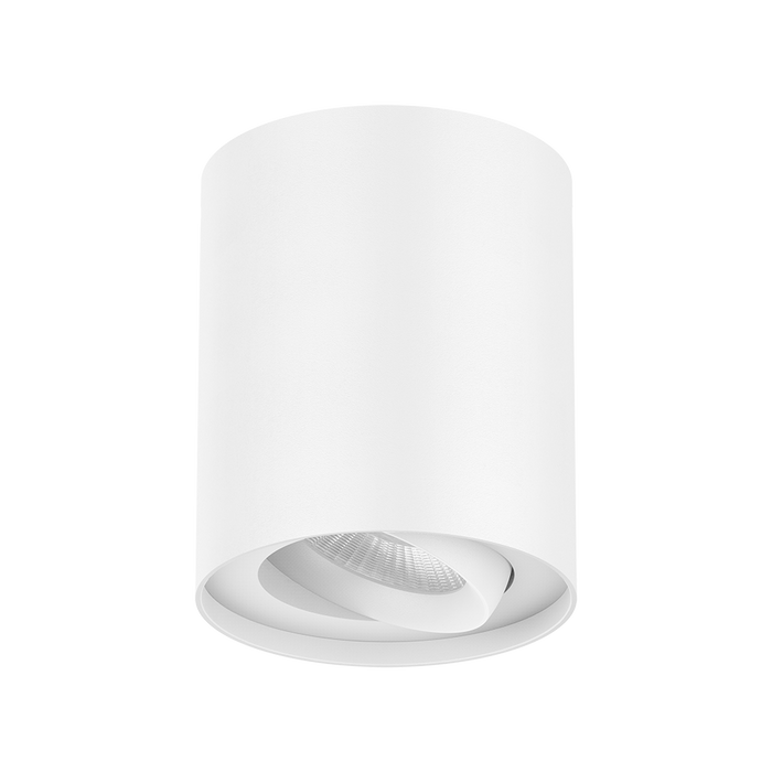 Surface Mount Downlight 10W White Trim 3000K Triac Dimmable