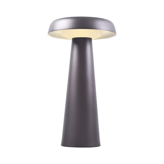 ARCELLO Outdoor Portable Metal Pendant Light ( Available in Anthracite &  Burnished Brass)