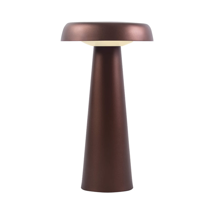 ARCELLO Outdoor Portable Metal Pendant Light ( Available in Anthracite &  Burnished Brass)