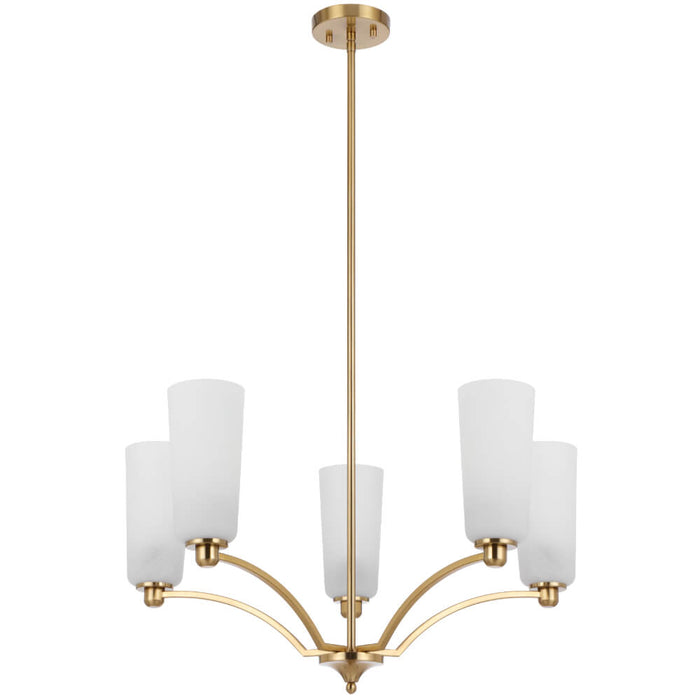 BREVAN: Modern Pendant Light with Glass Shades (Available in Black & Antique Gold, 5 Light, 8 Light & 9 Light)