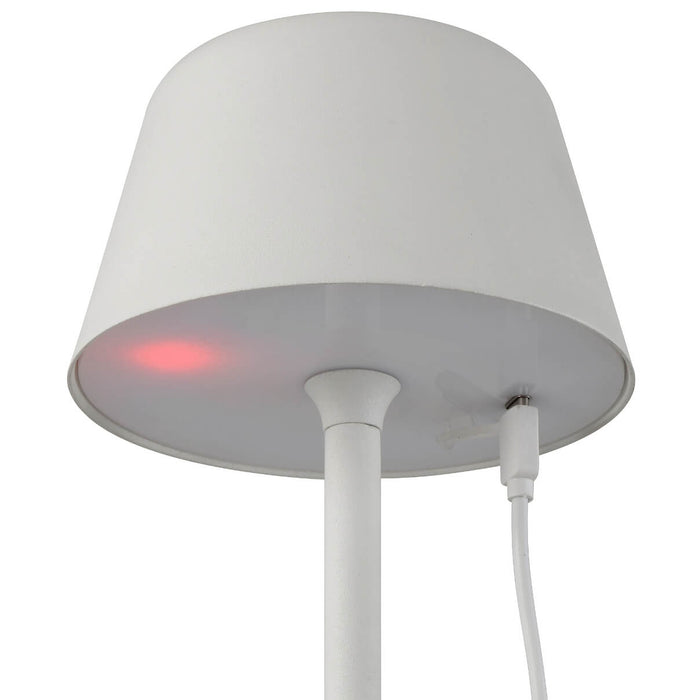 BRIANA: Metal Rechargeable IP54 LED Floor Lamp (Available in Black, Brown, Green & White)