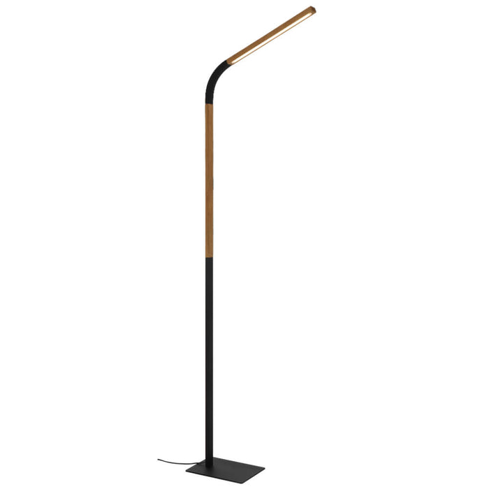 DUMAS: 10W Modern Adjustable LED Floor Lamp (Available in Black & White)