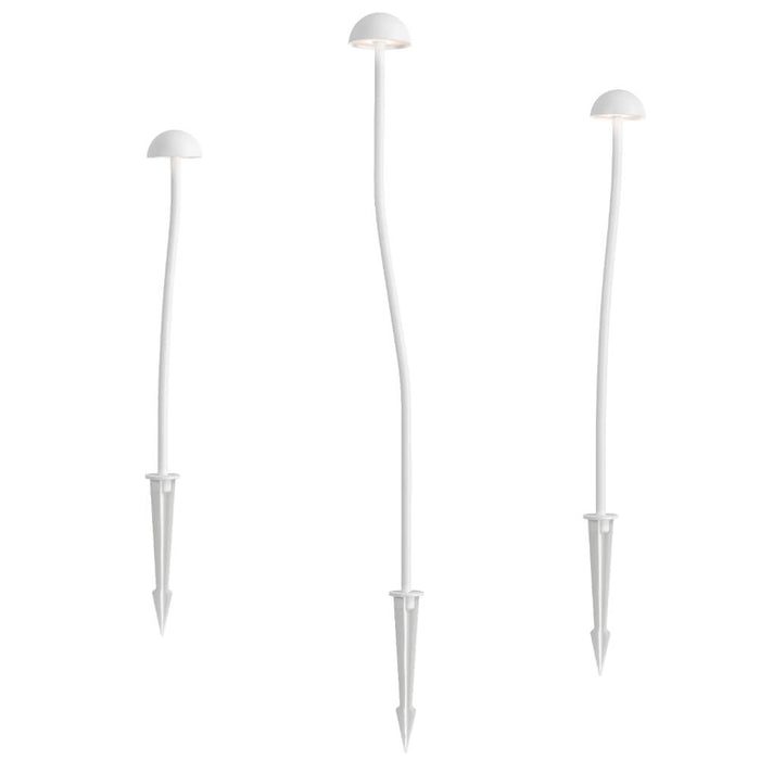 ENOKI: Black 24V IP65 Exterior LED Garden Spike Post Light (Available in Black & White)