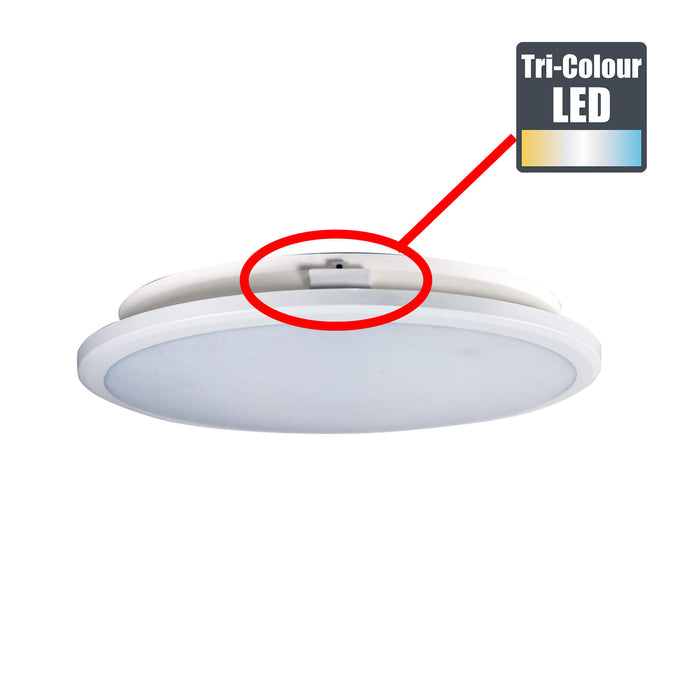 OMAR: White 24W TriColour LED Ceiling Light