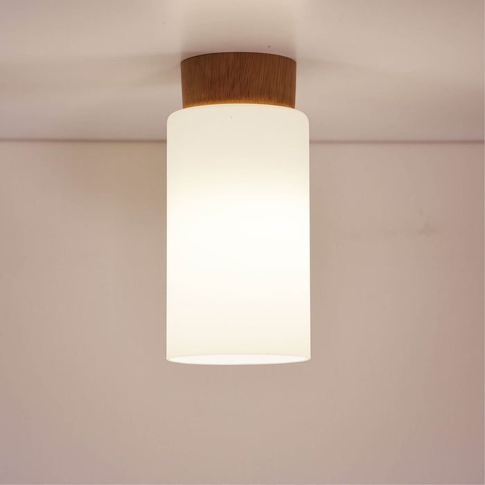NINA: DIY Glass Shade with Real Timber Ceiling Cover