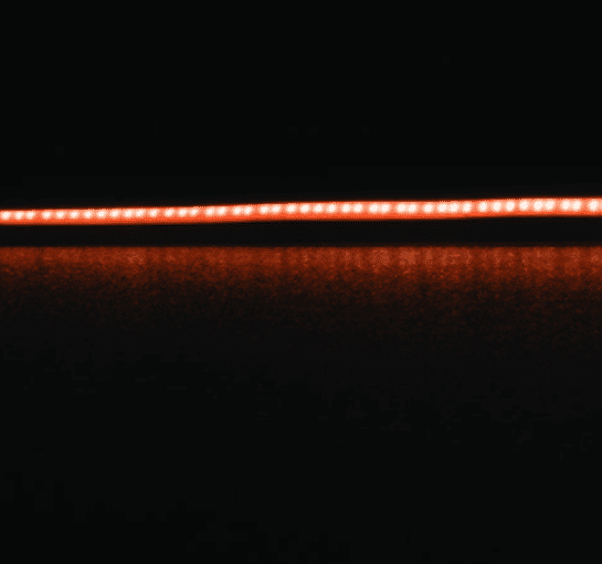 PLEX-MICRO 8W IP54 LED Strip 480 LEDs Per Meter