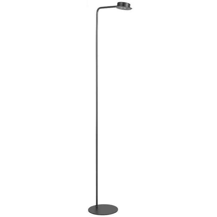 TARELL: Minimalist LED Floor Lamp (Available in Gun Metal & Antique Gold)