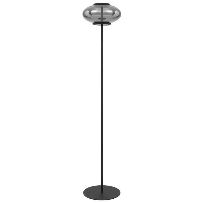 TEQUO: Black Modern LED Floor Lamp with Smoked Glass Dome Shade