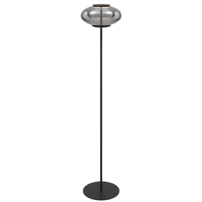 TEQUO: Black Modern LED Floor Lamp with Smoked Glass Dome Shade