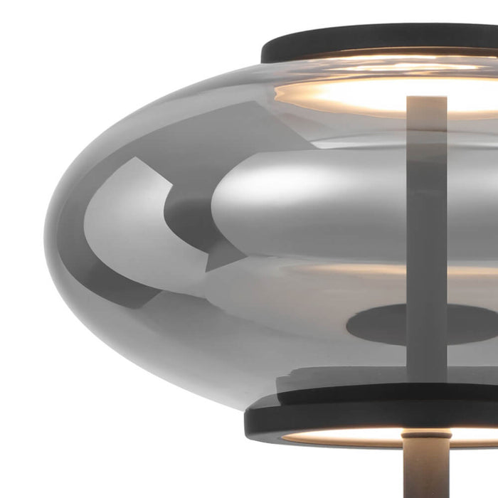 TEQUO: Black Modern LED Floor Lamp with Smoked Glass Dome Shade