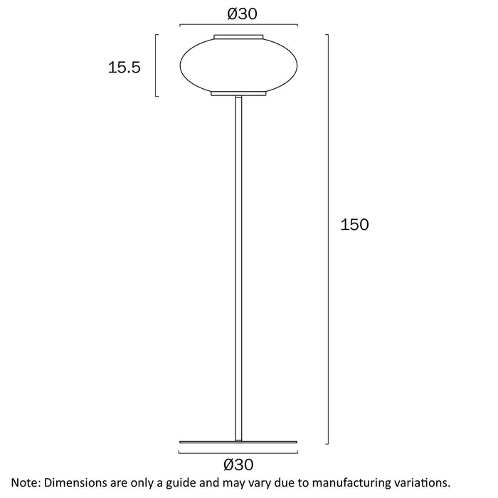 TEQUO: Black Modern LED Floor Lamp with Smoked Glass Dome Shade