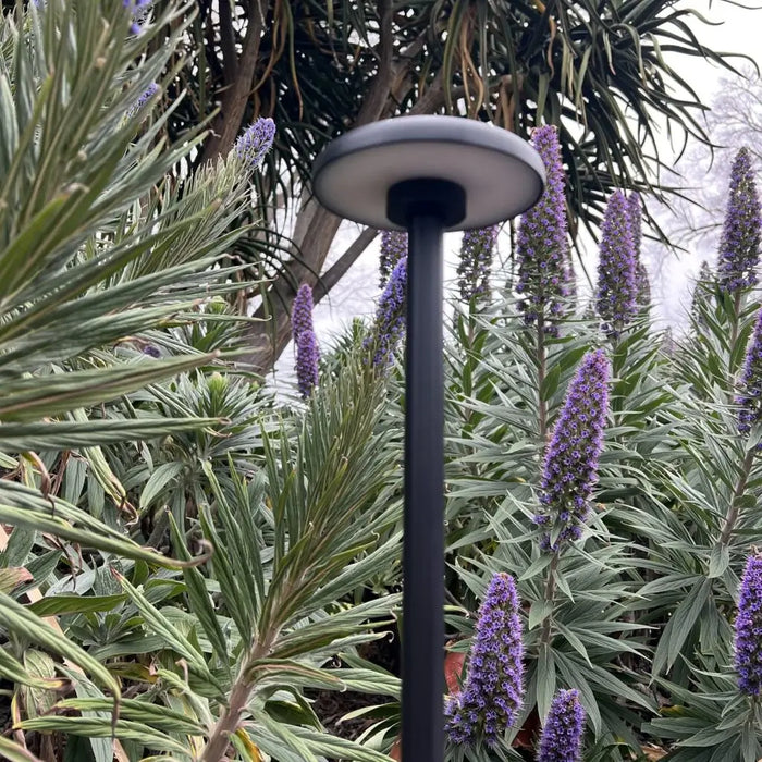 SCAPE: 24V Exterior LED Garden Spike Light (Available in Rust, Green & Black)