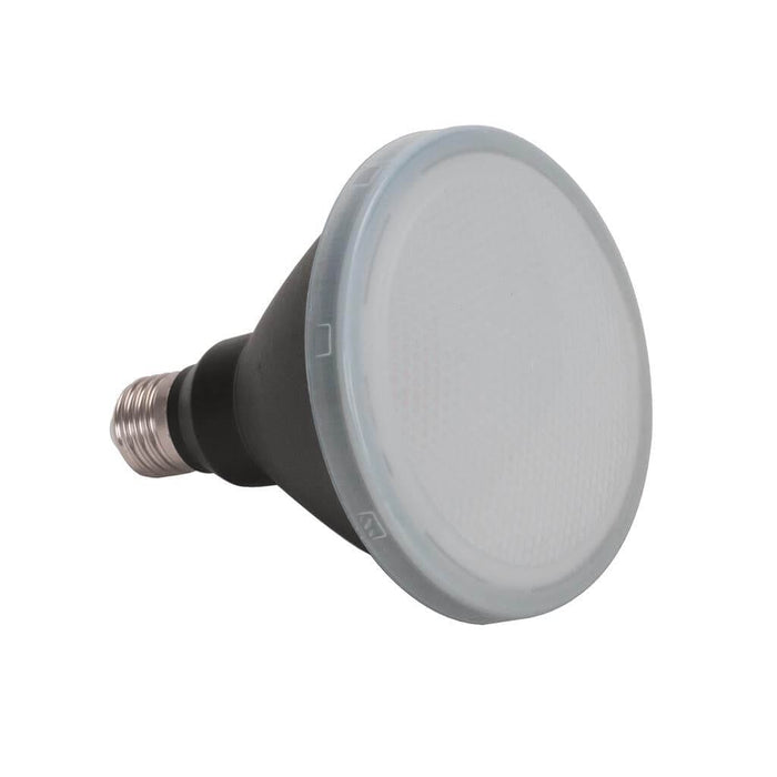 PAR30 12W 240V Frosted Dimmable LED Globe (Avail in 3000K & 5000K)