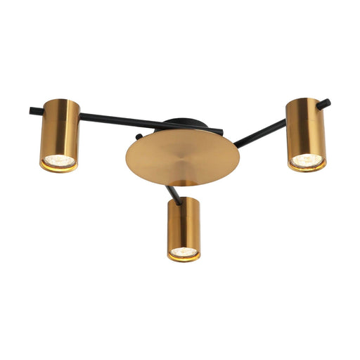 CLA TACHE: Interior Spot Ceiling Lights (with Adjustable Antique Brass Heads)