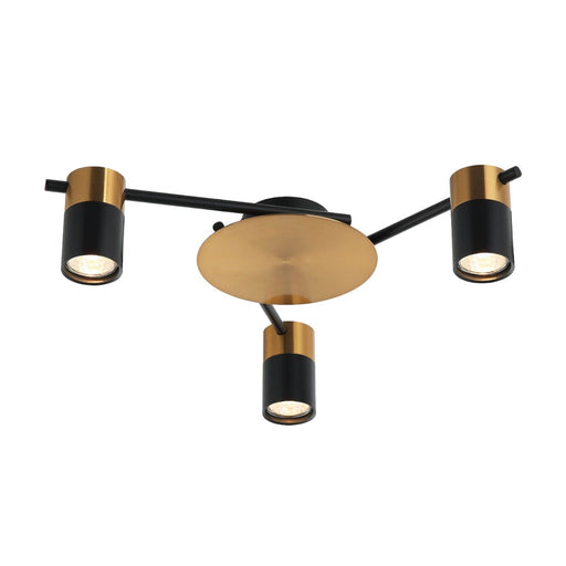 CLA TACHE: Interior Spot Ceiling Lights (with Adjustable Black & Antique Brass Heads)
