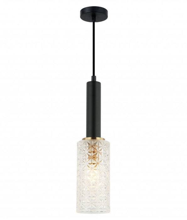 CLEO: Interior Oblong Cut Glass Pendant