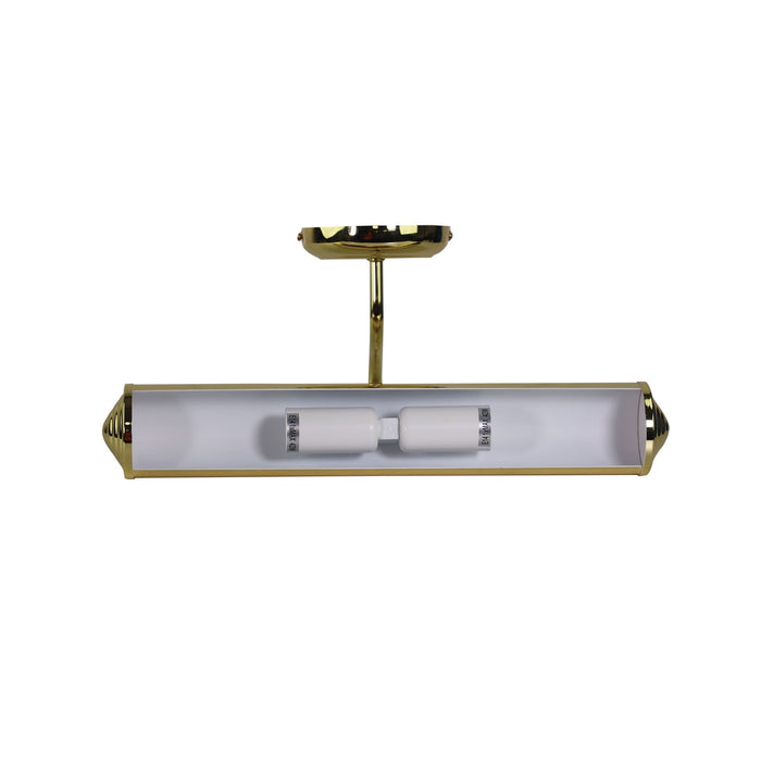 PICTURE - Traditional Brass Plated 2 Light Interior Picture Light