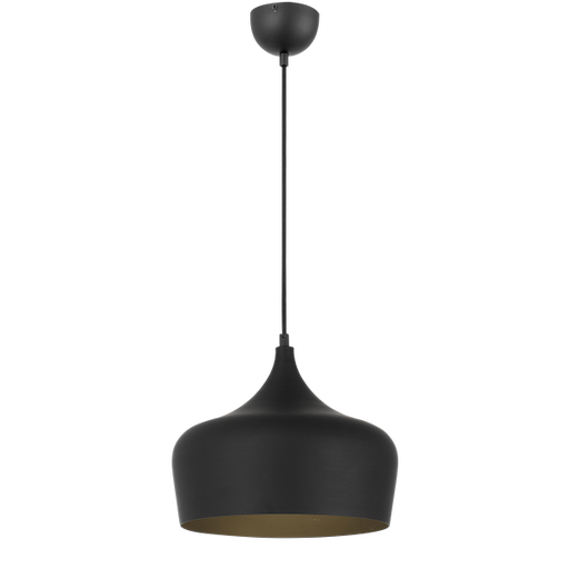 Brushed metal pendant light deals