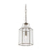 ARCADIA - Traditional 1 Light Clear Bevelled Glass Pendant Cougar