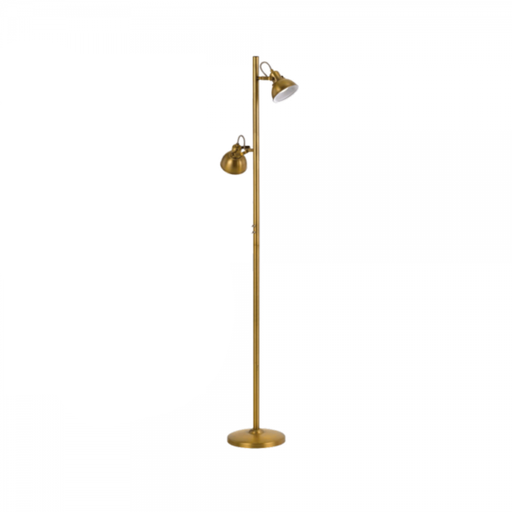 CARSON - Stunning Antique Brass 2 Light Adjustable Head Floor Lamp Telbix