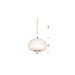 COOTE - Small 1 Light Nickel Pendant With White Shade Telbix