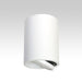DARO - White Round Cylindrical 12W Cool White Surface Mounted Adjustable Down Light Telbix